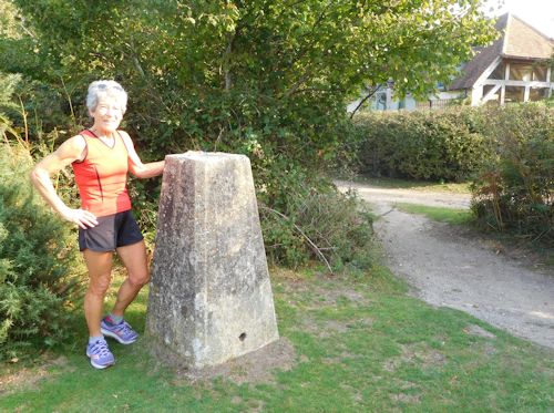 2020 trig